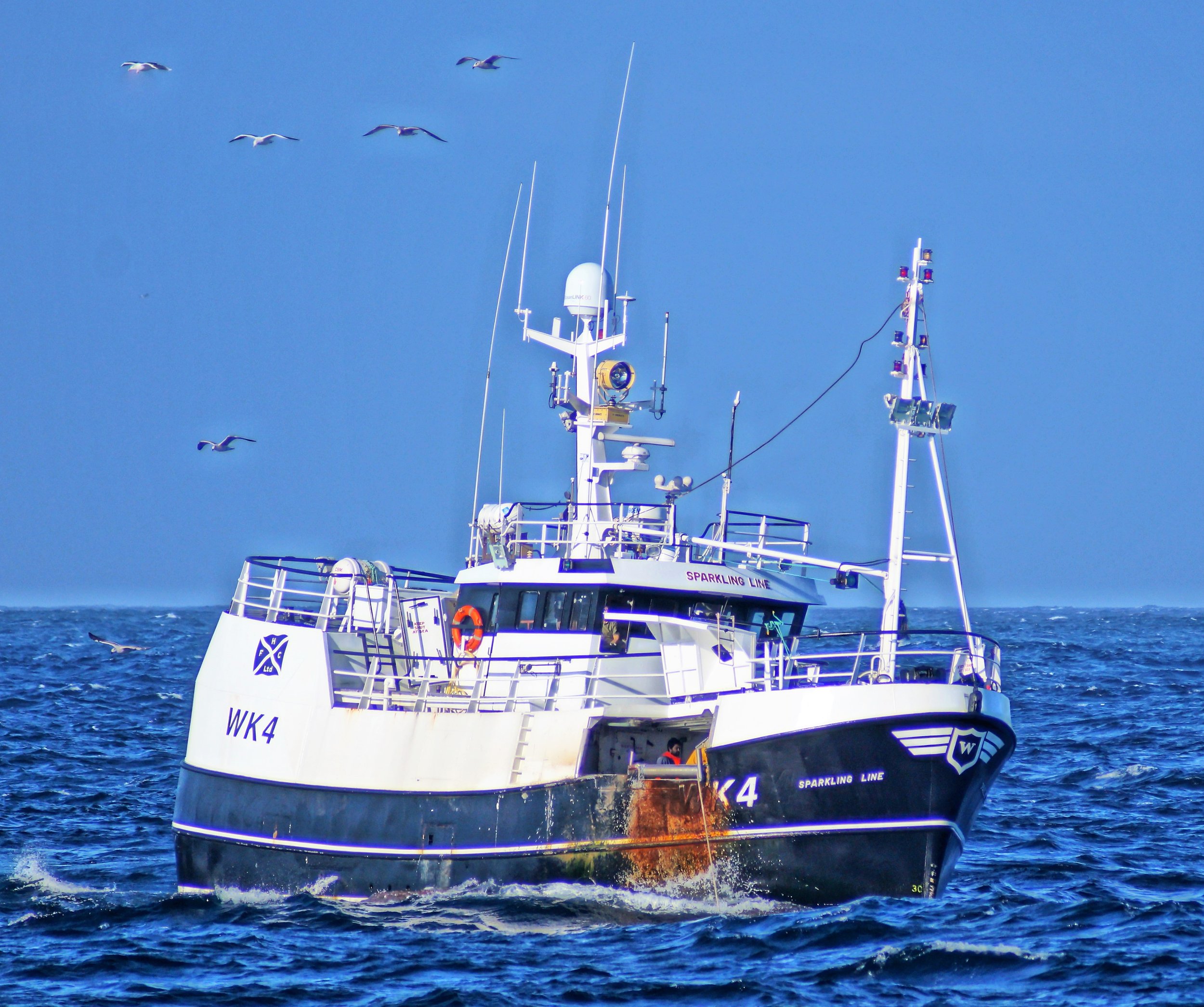 General 4 — The Lobster Pot